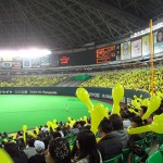 福岡のヤフードームで野球のチケットもぎり、手荷物検査、案内のアルバイト体験談